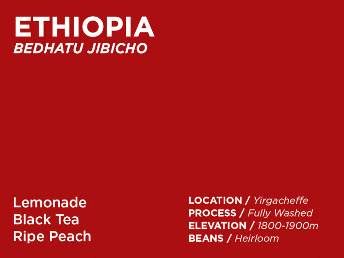 Deadbeat Club Ethiopia Bedhatu Jibicho Homebody